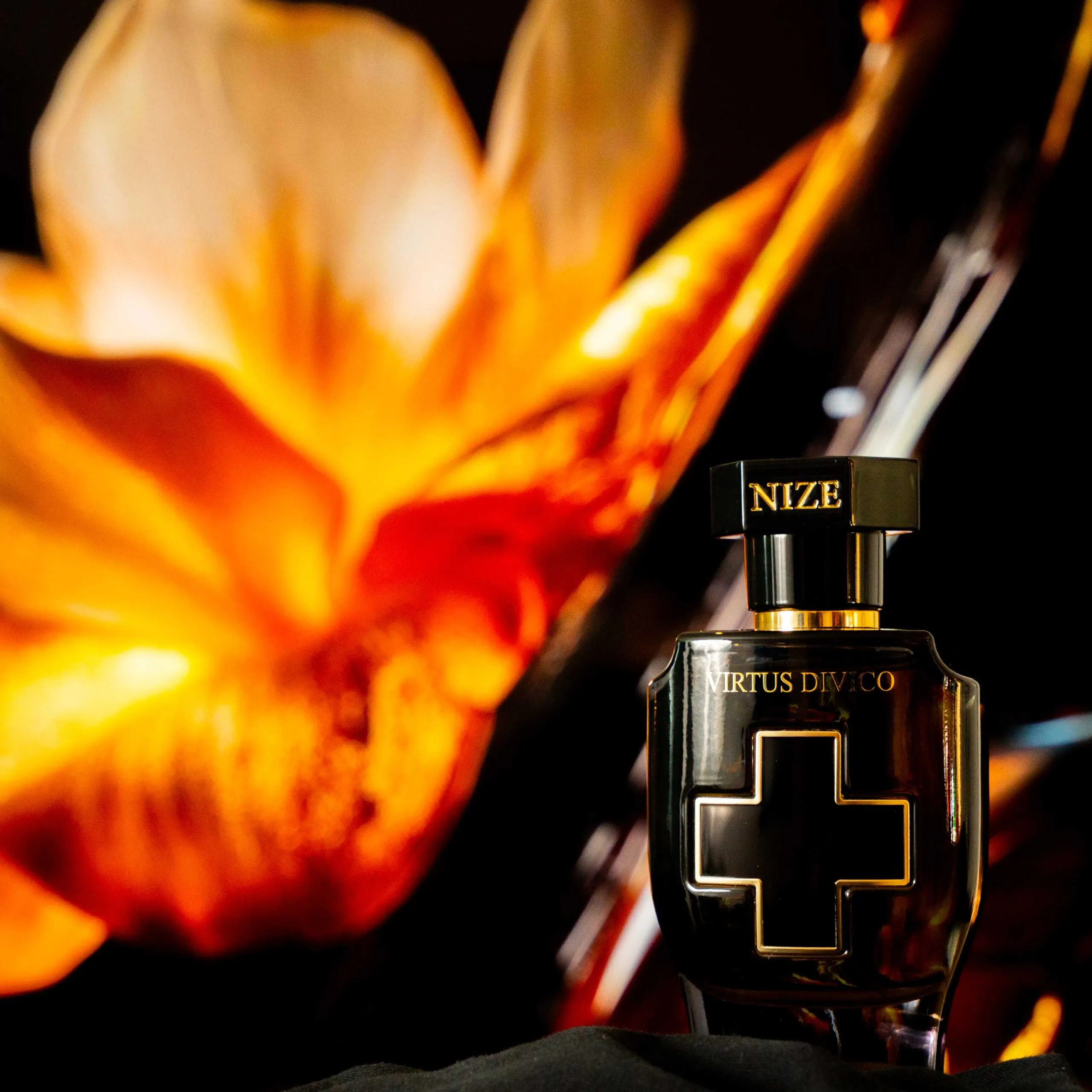 black niche perfume bottle standing in front of vanilla pods